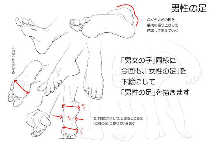 男女脚部画法区分，via：季月エル 插画图片壁纸