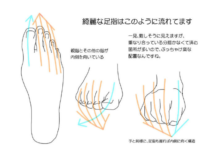 男女脚部画法区分，via：季月エル 插画图片壁纸