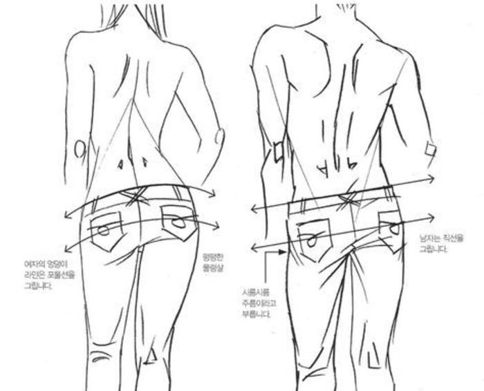 裤子的褶皱绘制的参考，纹理细节要多注意插画图片壁纸