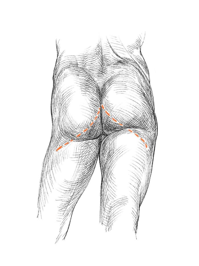 腿部、手臂人体结构学习，结构搞懂才能更好作画插画图片壁纸