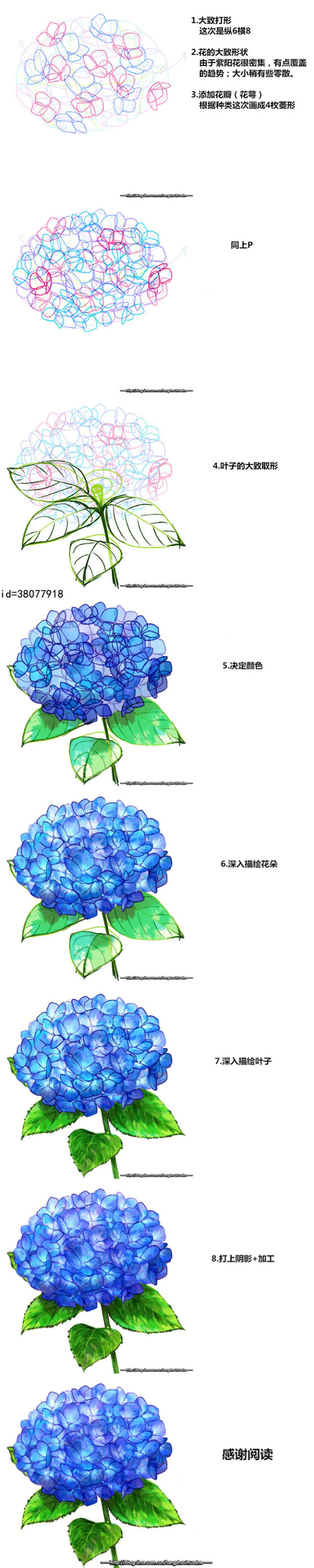 动漫场景12种花卉绘画设计参考插画图片壁纸
