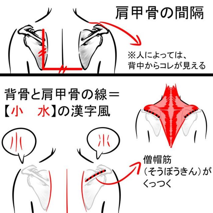 医学生警告，一组手臂的绘制教程，via：みじんコ 插画图片壁纸