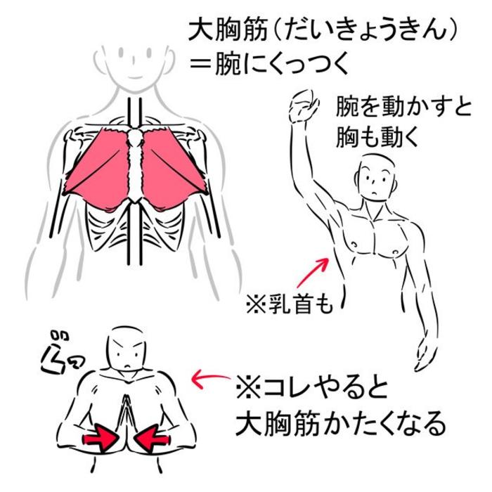 医学生警告，一组手臂的绘制教程，via：みじんコ 插画图片壁纸