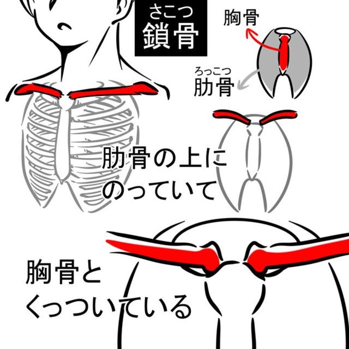 医学生警告，一组手臂的绘制教程，via：みじんコ 插画图片壁纸