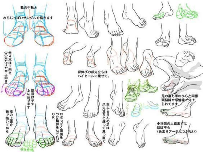 常见的足部姿势画法参考，学画画 插画图片壁纸