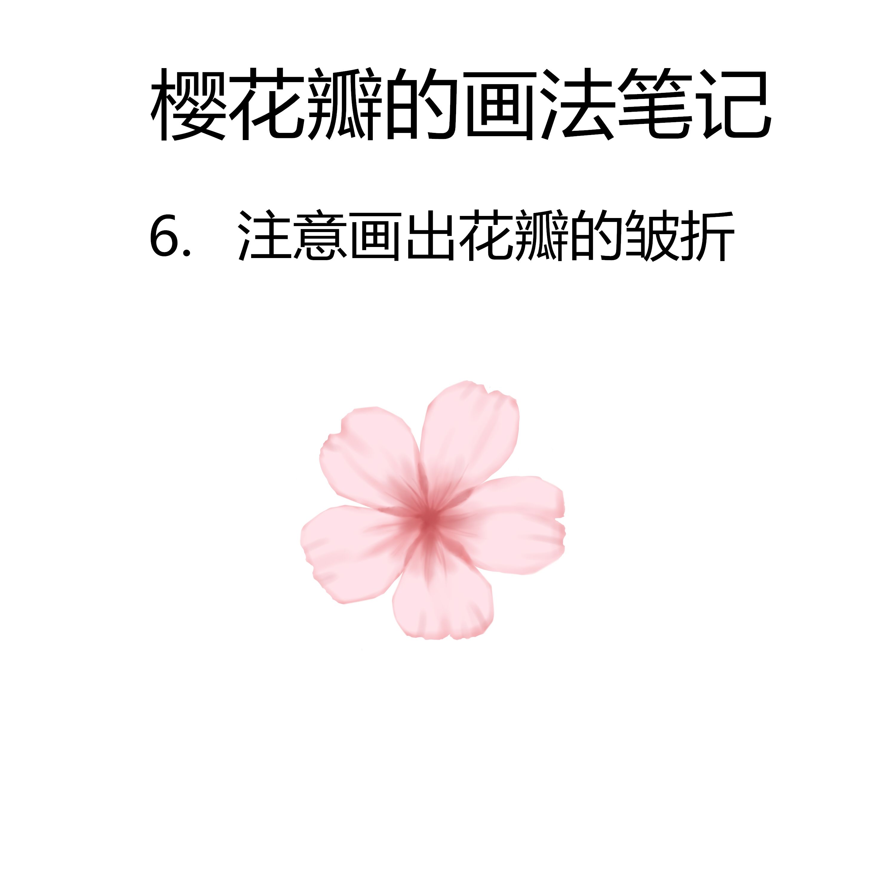 樱花画法小笔记植物绘画素材