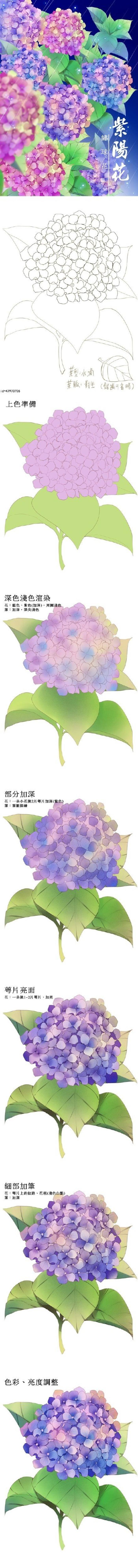 动漫绘师moiy的花卉教程合集，教你画玫瑰、百合、山茶花等9种不同的花卉插画图片壁纸