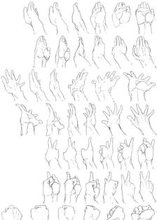 给大家分享一些手势练习参考，手废福利，转走学习插画图片壁纸