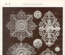 19世纪末法国石膏装饰纹样