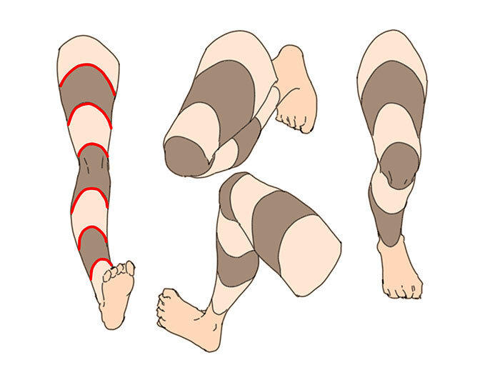 画腿和脚的肌肉结构解析，学画画 画师ゼロモモ 插画图片壁纸