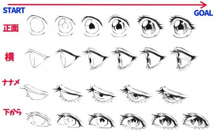 眼睛的多角度参考，拿去练练手吧插画图片壁纸