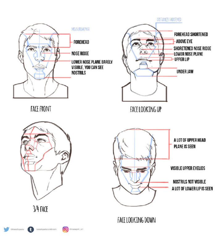 头部不同角度与动态的画法插画图片壁纸