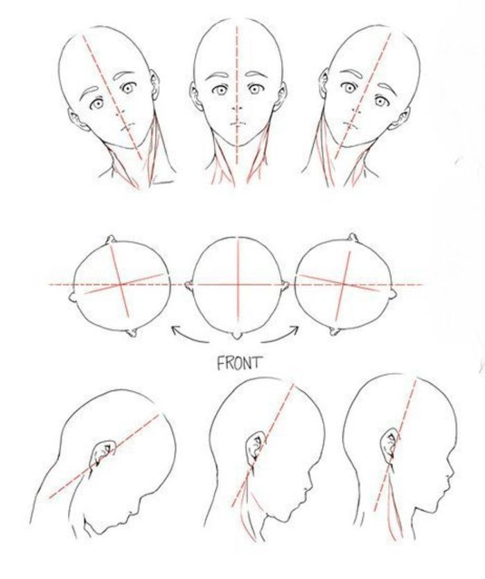 多方向头部教程，也可以做透视参考噢插画图片壁纸