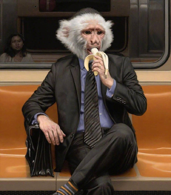 艺术家 马修·格拉别尔斯基 将地铁乘客与动物结合P在了一起，看着太有趣了，竟然一点都不违和插画图片壁纸