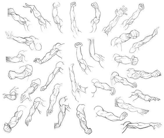 手臂的透视绘制参考学画画必备素材