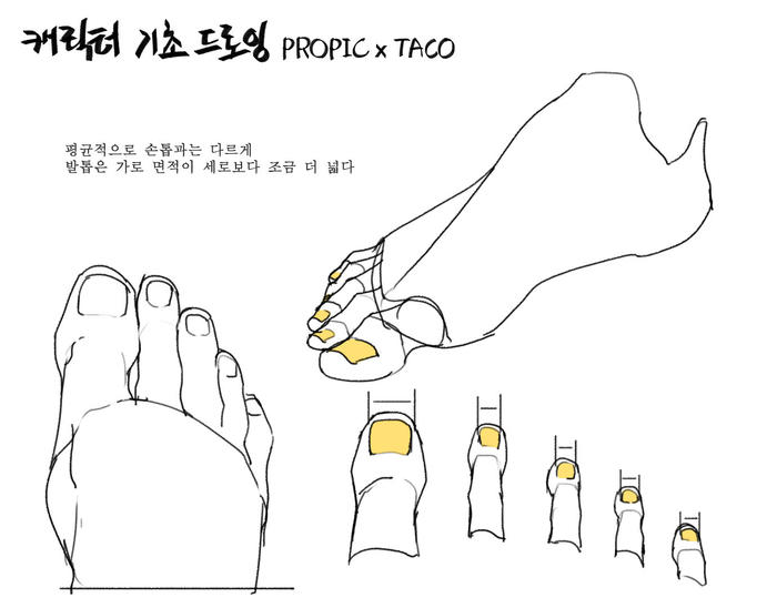 画师타코작가 足部的绘制，体块线稿收藏，twi：taco1704 插画图片壁纸