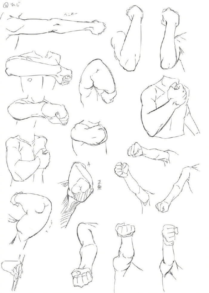 手臂练习素材，多种动作角度，可以练很多啦插画图片壁纸