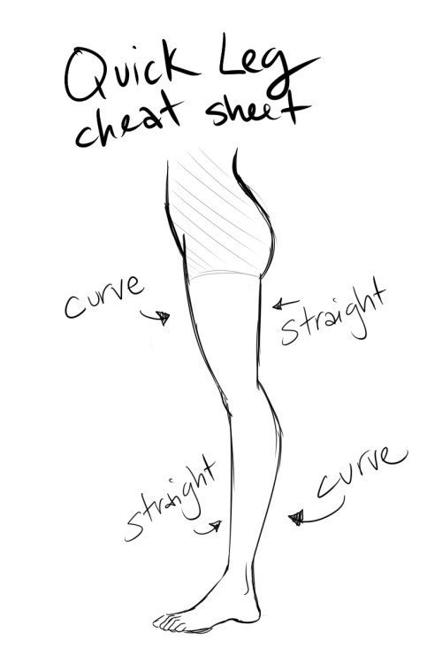 腿的画法简单图片