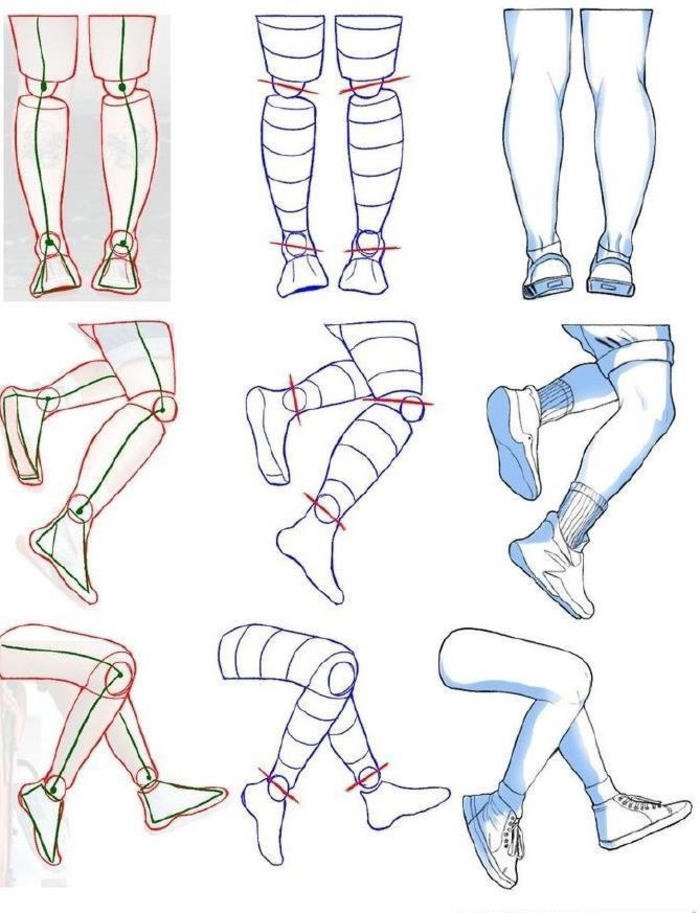 手臂和腿部的人体结构分析，干货码好咯 插画图片壁纸