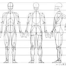 想要画好人体，人体的骨骼结构和肌肉分布，是必须要了解滴 插画图片壁纸