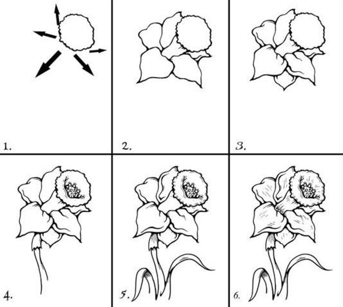 一组花卉的绘画过程  插画图片壁纸