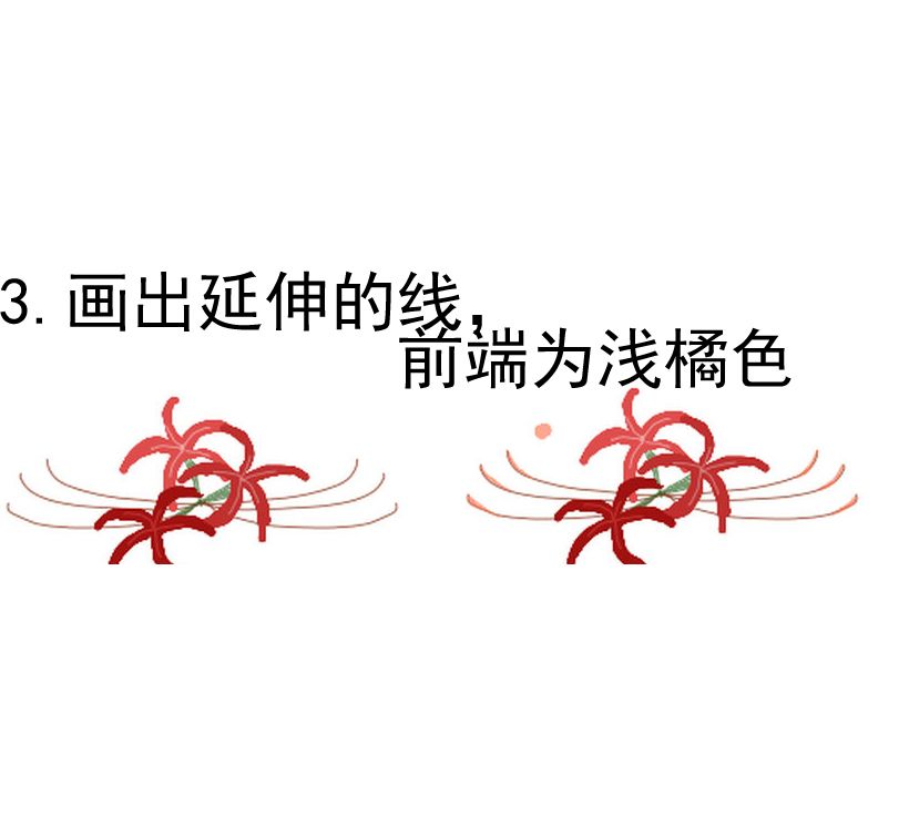 三途河之花曼珠沙华画法教程
