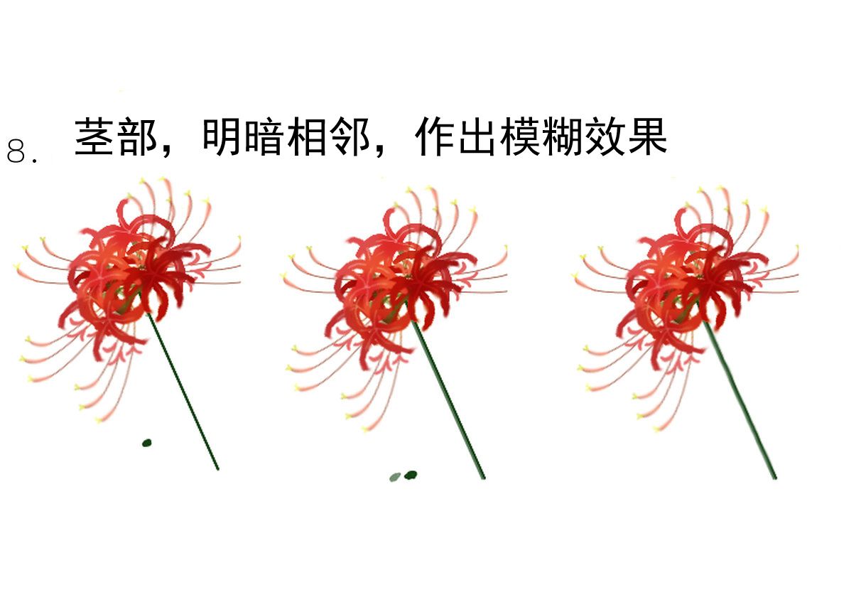 三途河之花曼珠沙华画法教程
