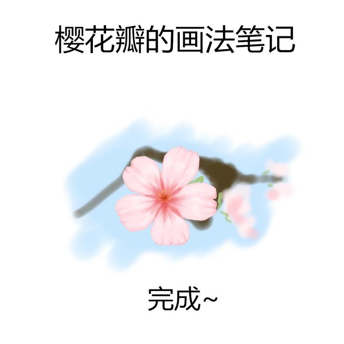 一朵粉嫩嫩的樱花  插画图片壁纸