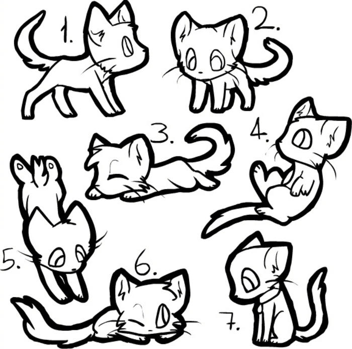 给大家来个画猫的教程，喜欢可以参考插画图片壁纸