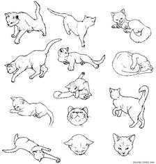 给大家来个画猫的教程，喜欢可以参考插画图片壁纸