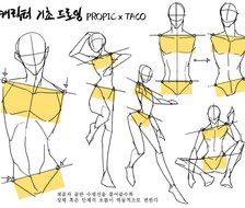 韩国画师타코작가 的躯干教程，体块参考很不错哟