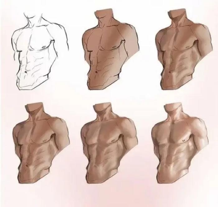 缺男朋友的进来 男性肌肉画法参考，学会就能给自己画个男朋友系列 插画图片壁纸