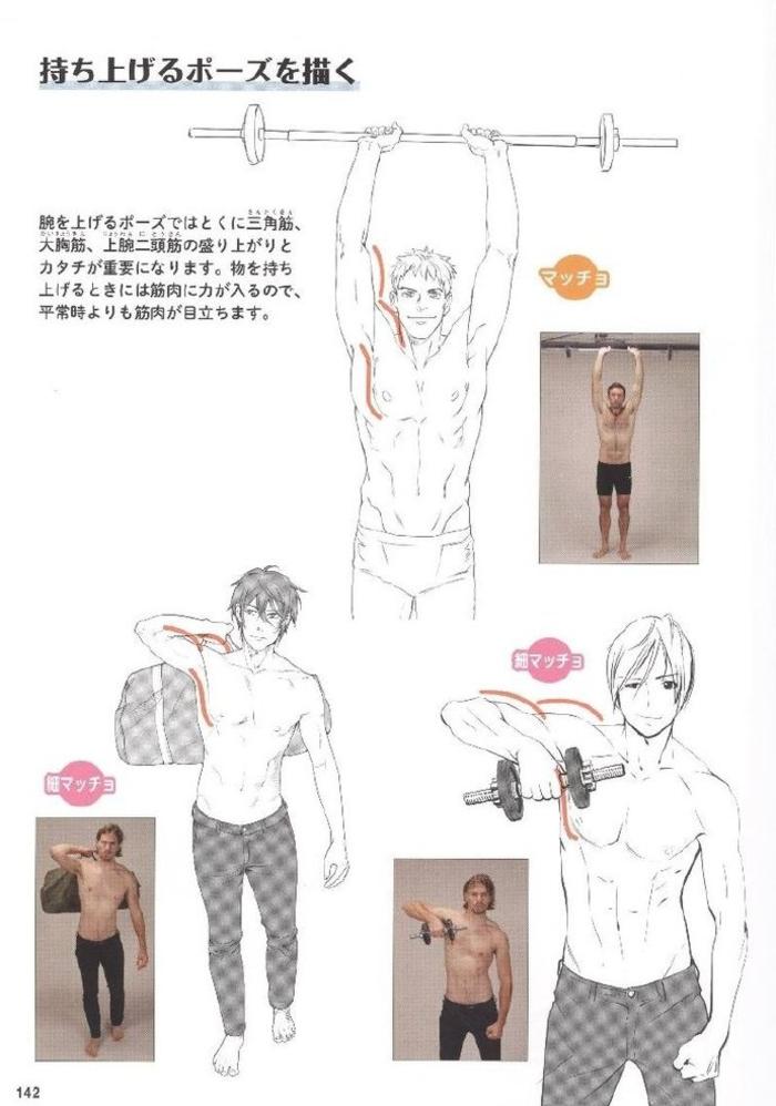 绘制男♂性肌肉 ，不同姿势肌肉的变化插画图片壁纸