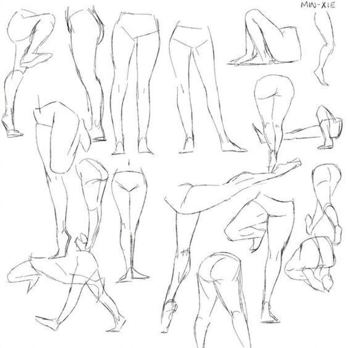 一组腿部肌肉分布及动态参考素材，自己拿去练习吧插画图片壁纸