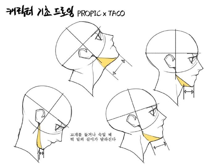 头部画法技巧，不同角度去理解。来自画师：타코작가 插画图片壁纸