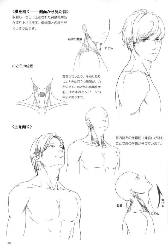 男生颈肩肌肉结构分析插画图片壁纸