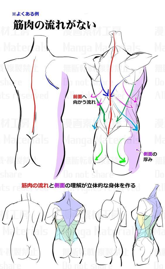 胸、背、肩,一组人体绘画教程，来自漫画素材工坊 插画图片壁纸