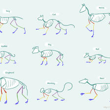 绘师：こみち的动物画法。一口气攻略常见的动物们插画图片壁纸
