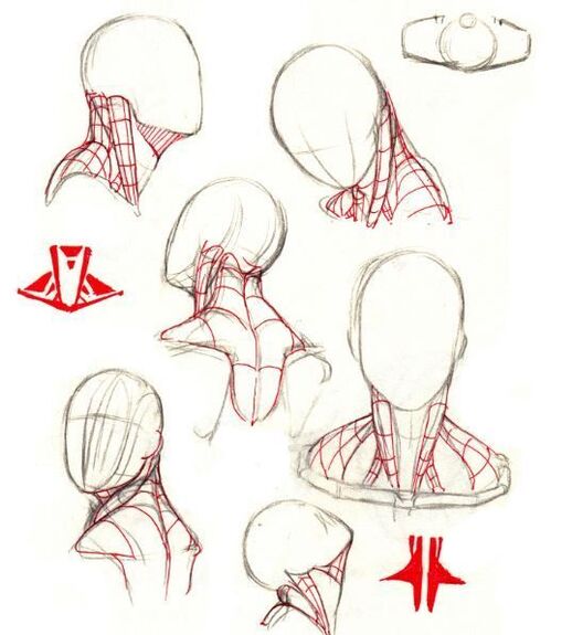 頭頸肩結構參考人體結構要多花點時間學習噢