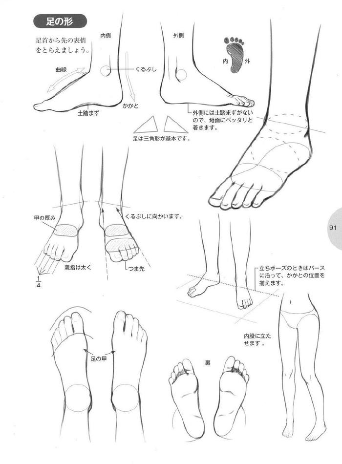 鞋子和腿脚绘制参考，学画画 插画图片壁纸