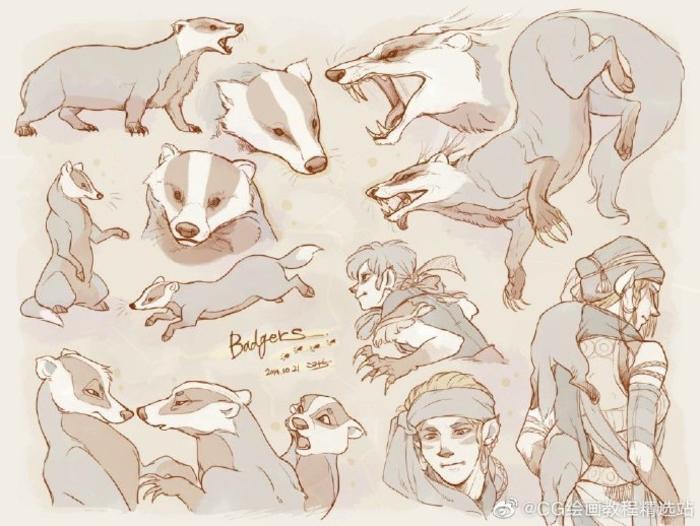 动物多角度画法 插画图片壁纸
